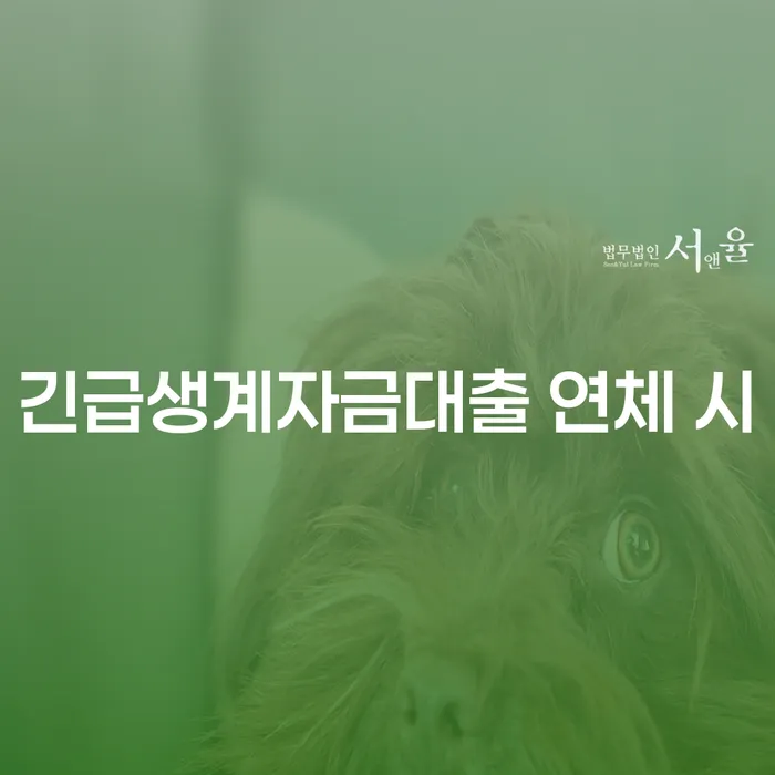 무료개인회생 빚 합법적인 빠른방법 믿고 진행 할 수 있는