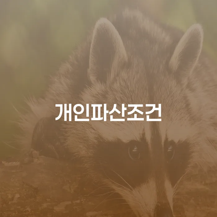 보험설계사대출 연체 시 채무 효과적인 해결방법 확인하자