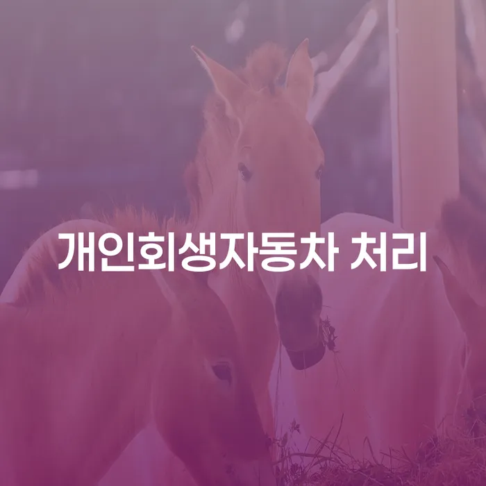 도박 개인회생 성공사례 빚갚는 방법 해결하기