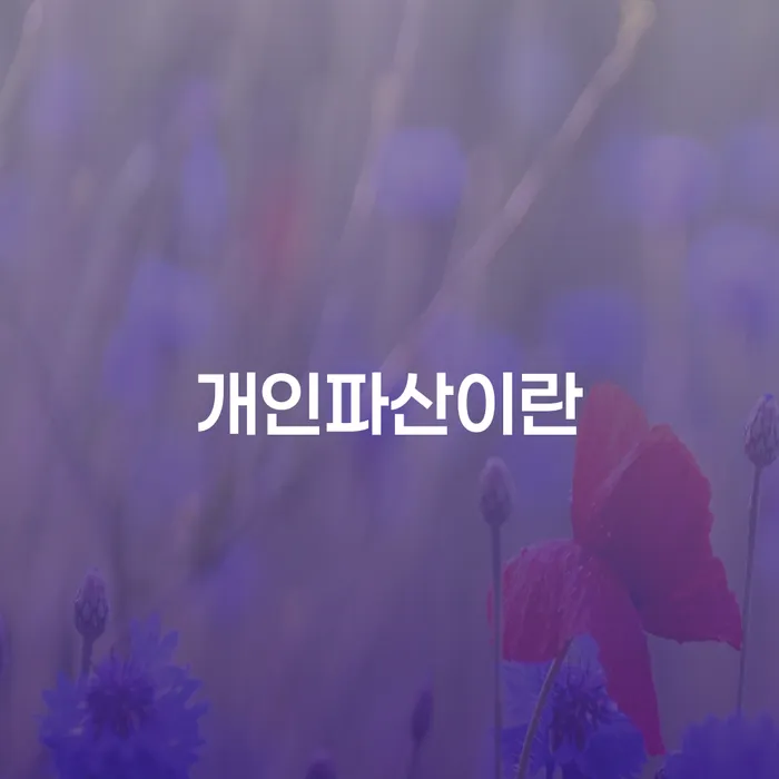 가족명의대출 연체 시 대출 연체 개인회생 정보알아보기