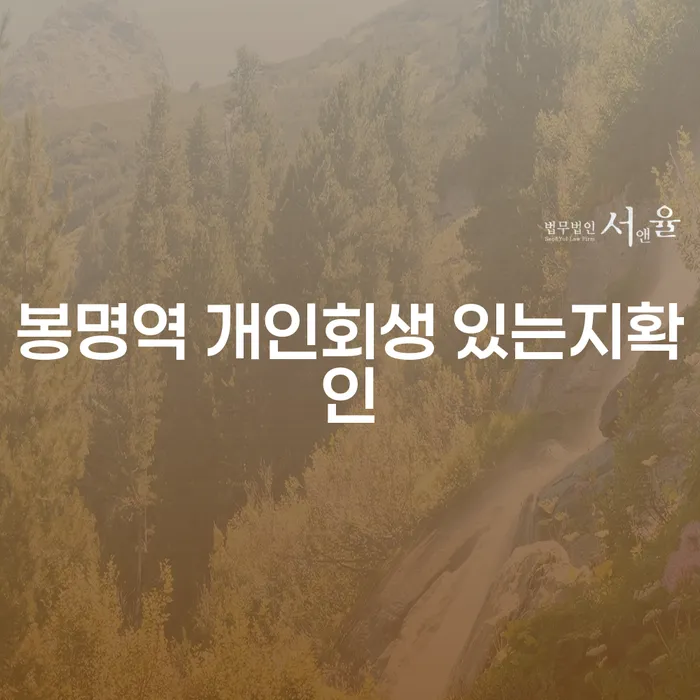 봉명역 개인회생 있는지확인