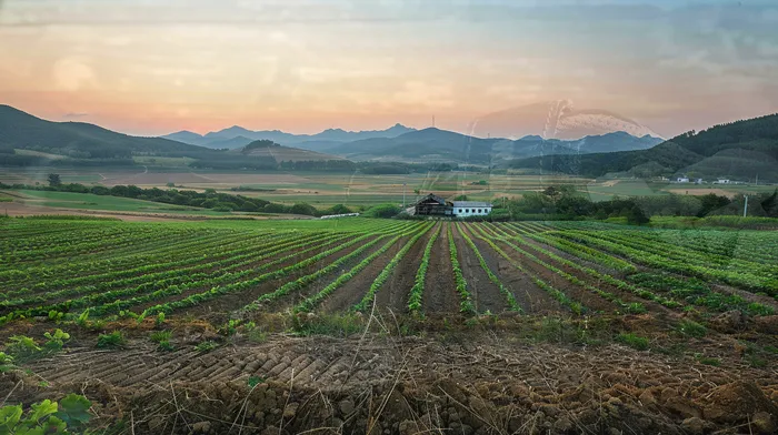 개인회생신청자격