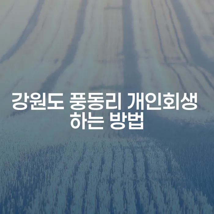 강원도 풍동리 개인회생 하는 방법: 어떻게 시작해야 할까?