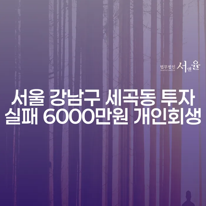 서울 강남구 세곡동 투자실패 6000만원 개인회생, 어떻게 해결할 수 있을까요?