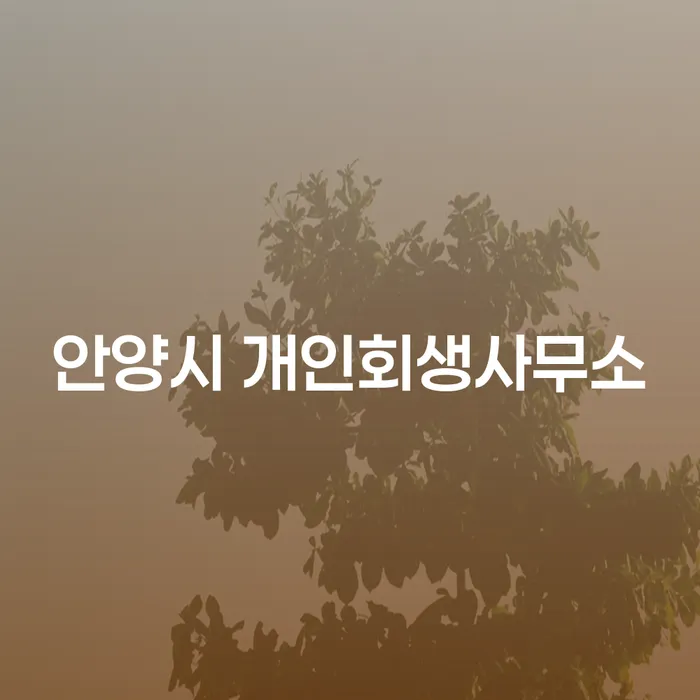 안양시 개인회생사무소에서 코인빚 2억원 이상 해결할 수 있을까요?
